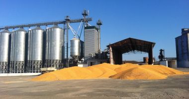 Stire din Economie : Comerțul angro de produse agricole este pe val în vremuri de criză