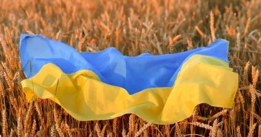 Stire din Economie : România și alte trei state cer Comisiei Europene reintroducerea cotelor la produse agricole ucrainene