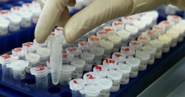 Stire din Economie : De astăzi încep testările ADN în alimente care conțin carne de vită