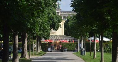 Stire din Economie : Comisia Europeană vrea împăduriri masive în blocul comunitar