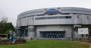 Stire din Social : Caii confiscați de Poliția Animalelor de la Techirghiol sunt îngrijiți corespunzător la Complexul Muzeal de Științe ale Naturii Constanța
