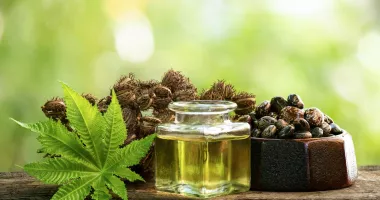 Stire din Sănătate : Uleiul de ricin poate deveni un aliat pentru digestie și articulații