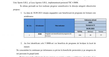 Proiectul TIC 4 IMM - 2