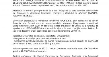 ANUNȚ FINALIZARE PROIECT "CERERE GRANT PENTRU CAPITAL DE LUCRU SOLICITAT DE HOOK S.R.L" - 2
