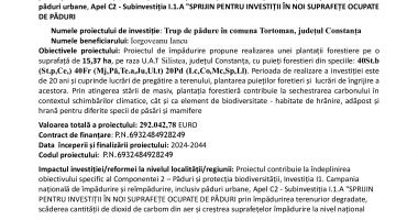 Trup de pădure în comuna Tortoman, județul Constanța - 2