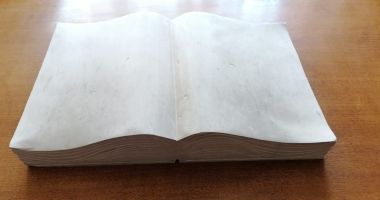 Odiseea celor 400 de orfani armeni salvați de la moarte. Filantropul Armenag Manissalian, evocat de comunitatea sa - 10