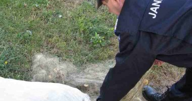 Stire din Eveniment : Concurs de pescuit între polițiști și jandarmi, la Corbu
