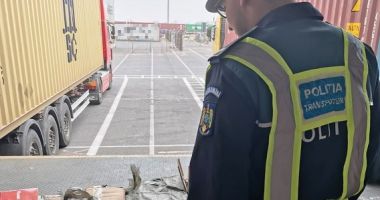 Stire din Eveniment : Pantofi sport din China, confiscați în Portul Constanța Sud Agigea