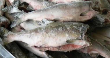 Stire din Social : Pește stricat și pește expirat de trei luni de zile, depistat de comisarii Protecției Consumatorilor