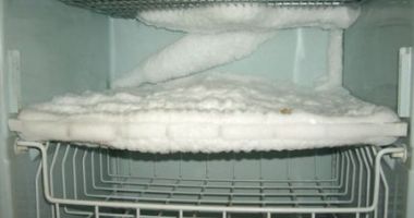 Stire din Actualitate : Timp de 20 de ani, o mamă a stat cu cadavrul fiicei sale într-un congelator