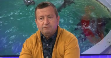 Stire din Actualitate : “Constanța Vorbește” – Delfinii din Malta ajung la Constanța. Un nou început pentru Delfinariu