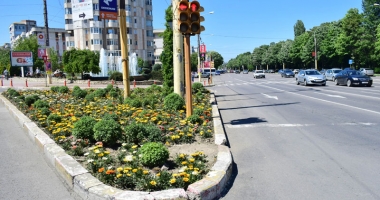 Stire din Politică-Administrație : Primăria Constanța face inventarul florilor plantate. Ce au descoperit