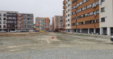 Stire din Social : Constănțenii ies la plantat de copaci! 20 de platani donați de un avocat