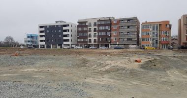 Constănțenii ies la plantat de copaci! 20 de platani donați de un avocat - 2