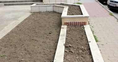 Constănțenii, la un pas să rămână fără panseluțe, mici de 1 Mai  și imn pentru Mamaia