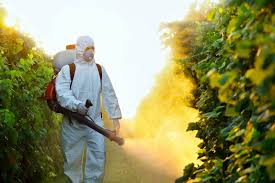 Stire din Economie : Consumul de pesticide din agricultura românească