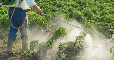 Stire din Economie : Consumul  de pesticide din agricultura mondială este  în creștere