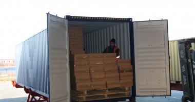 Stire din Eveniment : Pachete de cărți de joc, susceptibile a fi contrafăcute, confiscate la Agigea