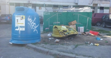 Tomberoanele de gunoi, vandalizate  de căutătorii de pet-uri - 2
