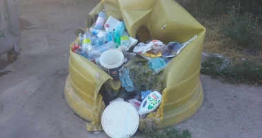Tomberoanele de gunoi, vandalizate  de căutătorii de pet-uri - 3