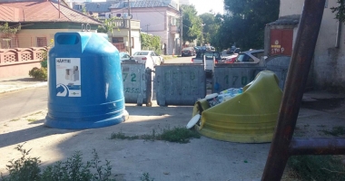 Tomberoanele de gunoi, vandalizate  de căutătorii de pet-uri - 4