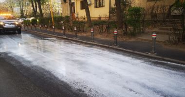 Stire din Social : Continuă acțiunile de dezinfecție în cartierele Constanței