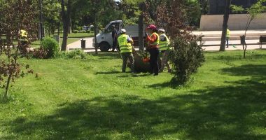 Stire din Politică-Administrație : Administrația locală continuă lucrările de igienizare în Constanța
