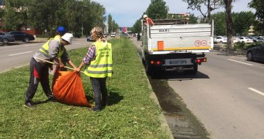 Administrația locală continuă lucrările de igienizare în Constanța - 2