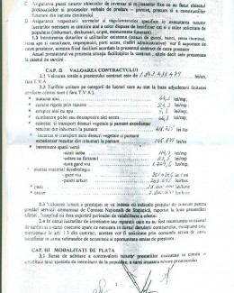 Administrarea cimitirului Central, din Constanța, este concesionată pentru… Eternitate - 3