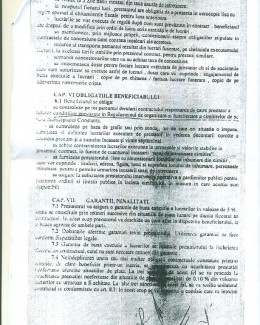 Administrarea cimitirului Central, din Constanța, este concesionată pentru… Eternitate - 5