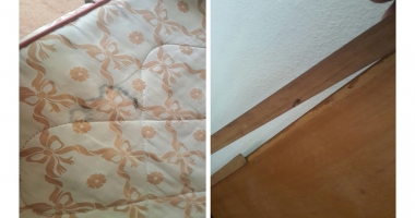 Goana după profit! Cui îi mai pasă  de sănătatea turiștilor - 3
