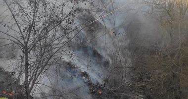 Zeci de controale și amenzi date de Garda de Mediu în luna decembrie - 2