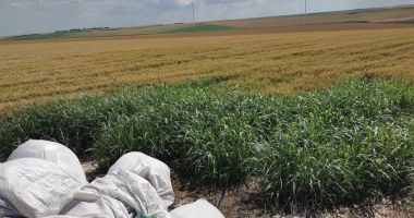 Sancțiuni pentru depozitarea unor îngrășăminte chimice pe un teren agricol din Ciocârlia