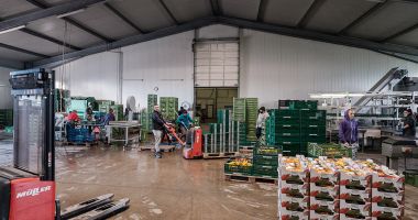 Stire din Social : Sancţiuni pentru angajatorii care au salariaţi în depozite
