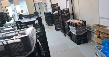 Stire din Eveniment : Control de amploare la o firmă din industria cărnii. Activitate oprită și amenzi de zeci de mii de lei