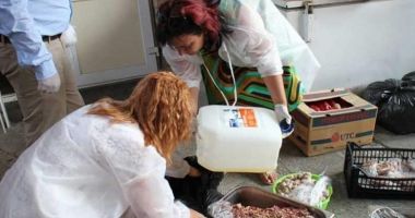 Stire din Social : JALE PE LITORAL! Ce au descoperit inspectorii DSV, în urma controalelor