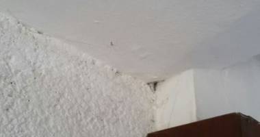 Galerie foto. E jale pe litoral! Ce hoteluri au fost declasificate și amendate de Protecția Consumatorului - 2
