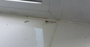 Galerie foto. E jale pe litoral! Ce hoteluri au fost declasificate și amendate de Protecția Consumatorului - 3