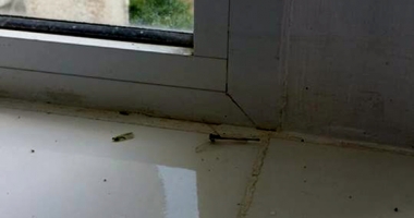 Terasa Merlin din Mamaia, închisă de Protecția Consumatorilor - 6