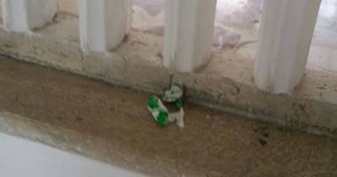 Stire din Social : Galerie foto. E jale pe litoral! Ce hoteluri au fost declasificate și amendate de Protecția Consumatorului