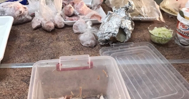 Control OPC în Campingul Lebăda din Năvodari. Mai multe unități de alimentație publică riscă să fie închise. GALERIE FOTO - 9