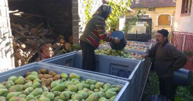 Cooperativa agricolă va fi resuscitată