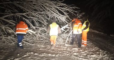 Stire din Eveniment : Zăpada face pagube în "iarna" din aprilie. Copac dărâmat de ninsoare peste un microbuz cu pasageri