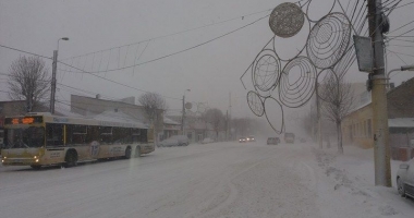 COD ROȘU DE VISCOL LA CONSTANȚA! Dezastru în oraș: stâlpi și copaci căzuți! - 4