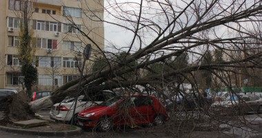 IMAGINILE DEZASTRULUI. Furtuna a făcut ravagii la Constanța - 5