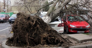 IMAGINILE DEZASTRULUI. Furtuna a făcut ravagii la Constanța - 3