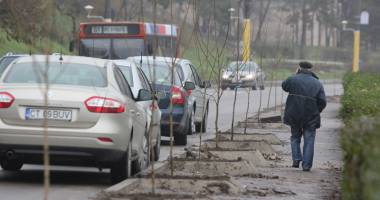 Au fost scoși copacii de pe valea Portului. Ce vrea să facă Primăria Constanța acolo - 3