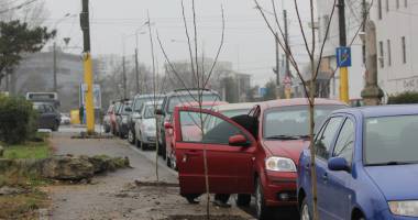 Au fost scoși copacii de pe valea Portului. Ce vrea să facă Primăria Constanța acolo - 4