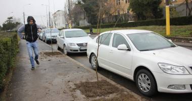 Au fost scoși copacii de pe valea Portului. Ce vrea să facă Primăria Constanța acolo - 5