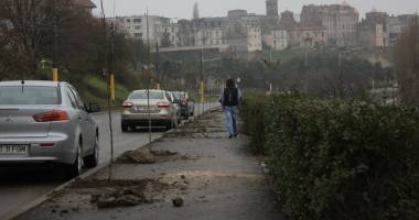 Au fost scoși copacii de pe valea Portului. Ce vrea să facă Primăria Constanța acolo - 6